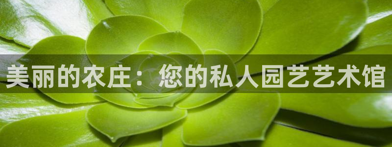 天辰娱乐39974神