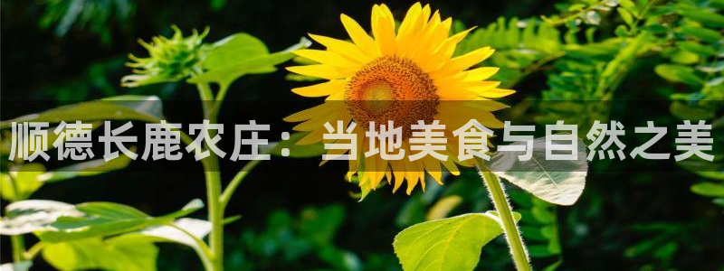 天辰娱乐待遇
