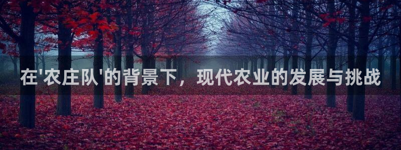 天辰娱乐-18113