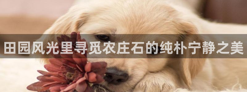 天辰娱乐481928