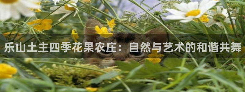 天辰娱乐首选