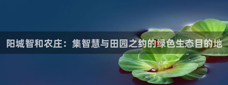 天辰娱乐登录网址