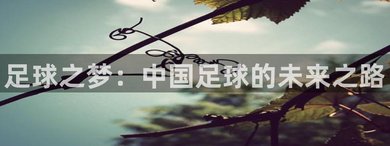 娱乐ktv天辰