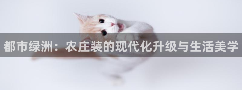 天辰娱乐