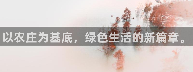天辰娱乐游客