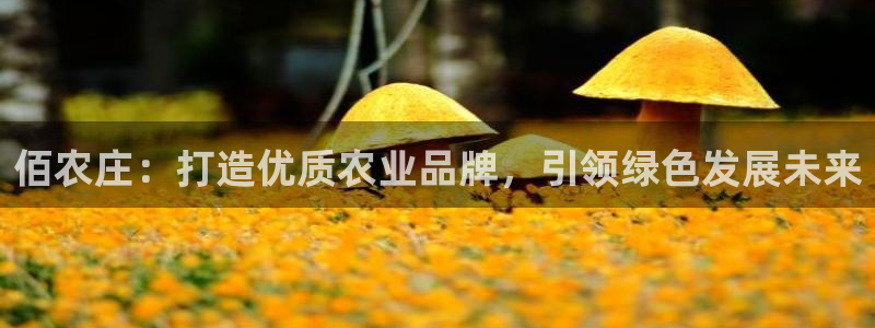 天辰娱乐平台地址