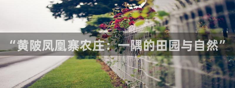 天辰娱乐10086