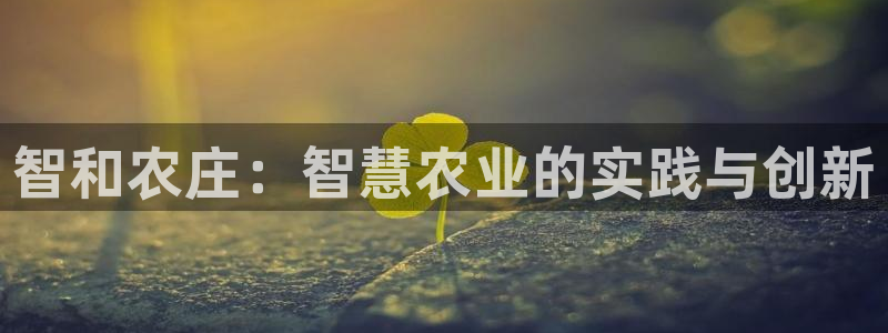 天辰娱乐平台安全吗