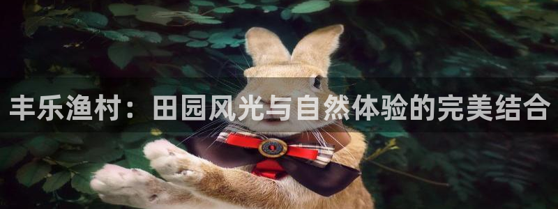 天辰娱乐分红