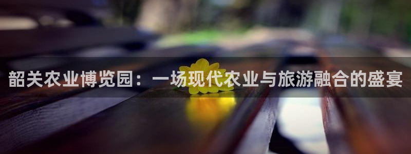 天辰娱乐 728567
