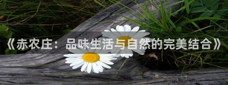 天辰娱乐所