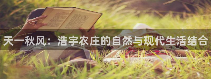 天辰娱乐股票