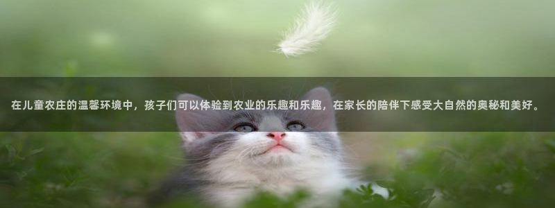 天辰娱乐 首选