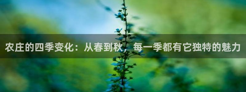 天辰娱乐公司
