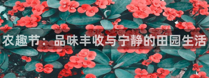天辰娱乐39596