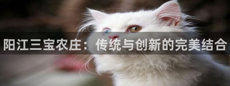 天富娱乐天辰娱乐