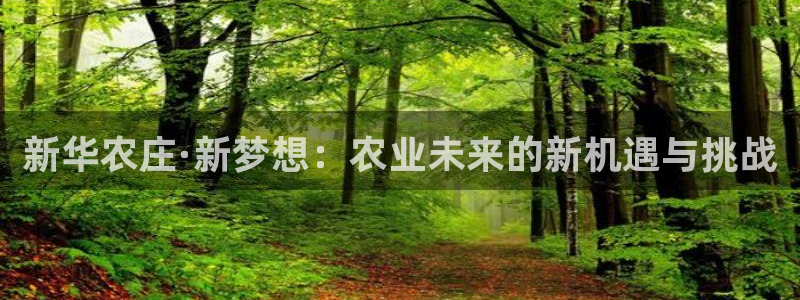 天辰娱乐官方网