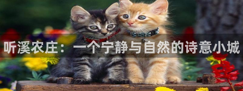 天辰娱乐天辰注册登录