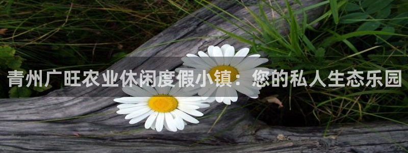 天辰娱乐新