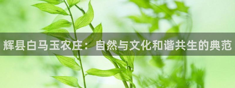 天辰娱乐在线