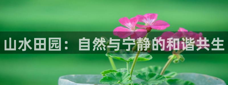 广东天辰娱乐