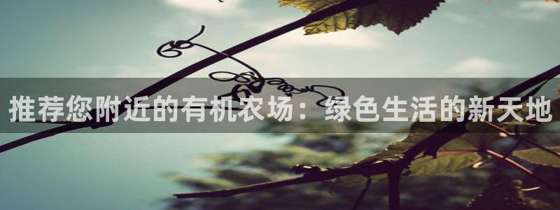 天辰娱乐728567