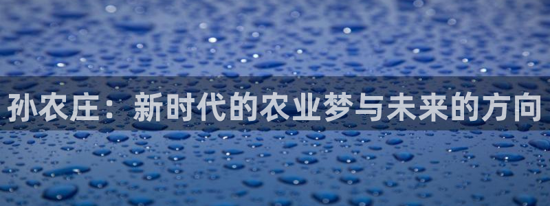 天辰娱乐1966