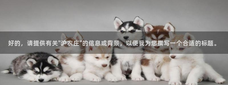 天辰娱乐平台登录账号