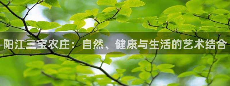 天辰娱乐的网址首页