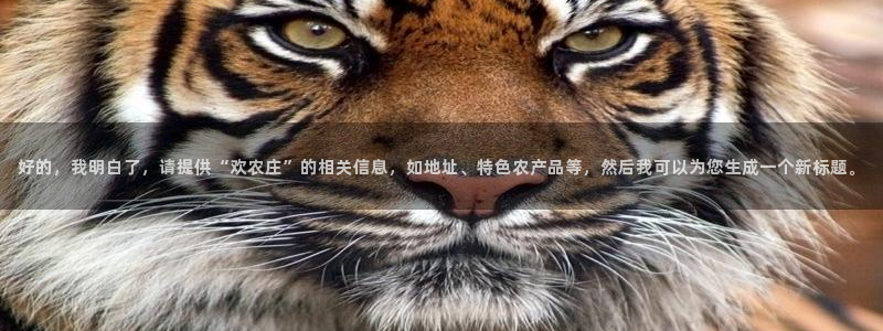 天辰娱乐地址