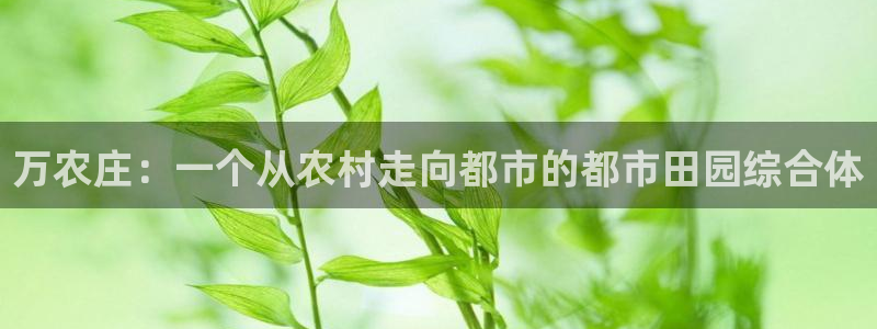 天辰娱乐首页