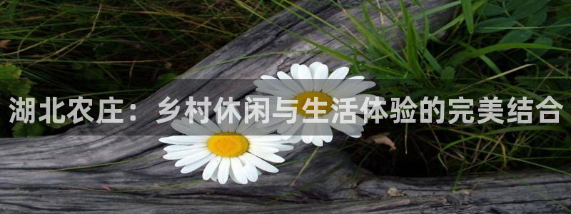 天辰娱乐内部