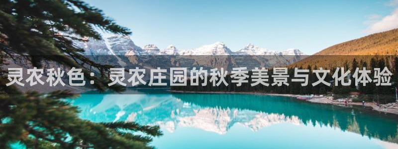天辰娱乐开户