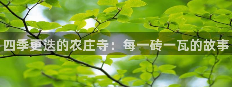 天辰(娱乐注册