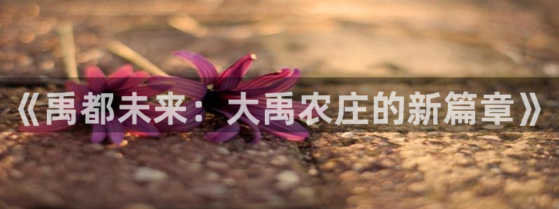 天辰娱乐会员