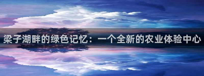 天辰娱乐鱼刺