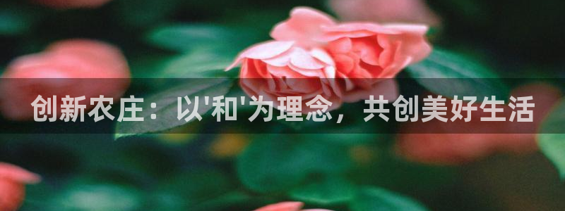 天辰娱乐登陆平台