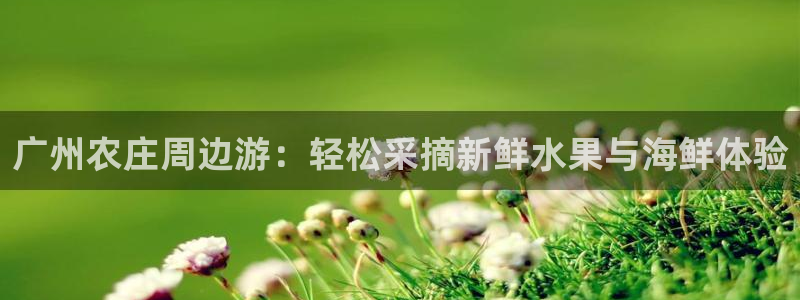 天辰娱乐在线登录注册