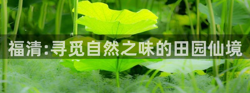 常州天辰娱乐