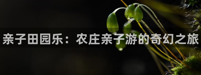 天辰娱乐游戏