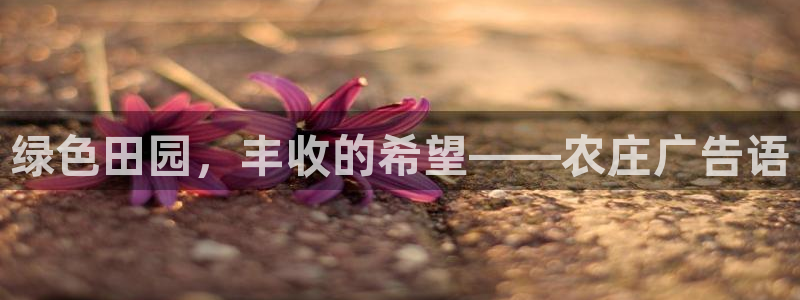 天辰娱乐总管年薪