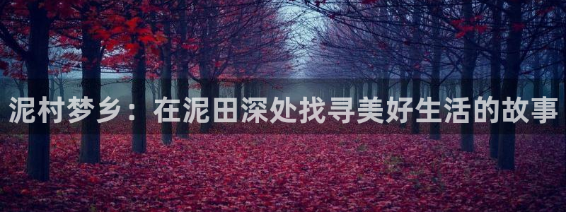 桂林天辰娱乐