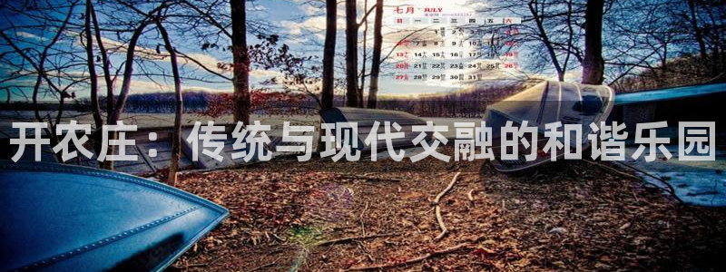 天辰娱乐视频