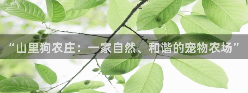 天辰娱乐ttf