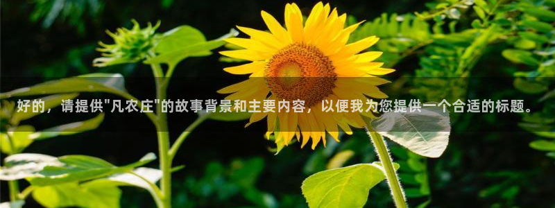 天辰娱乐登录网址