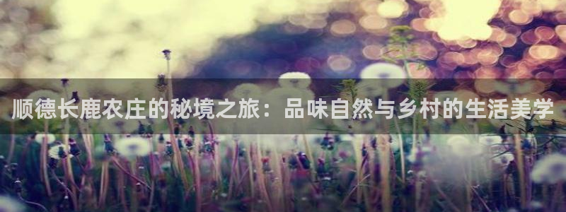 天辰娱乐官网平台入口
