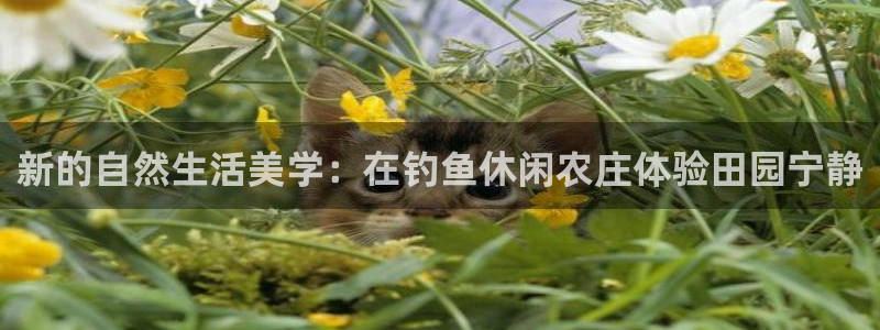 天辰娱乐下载